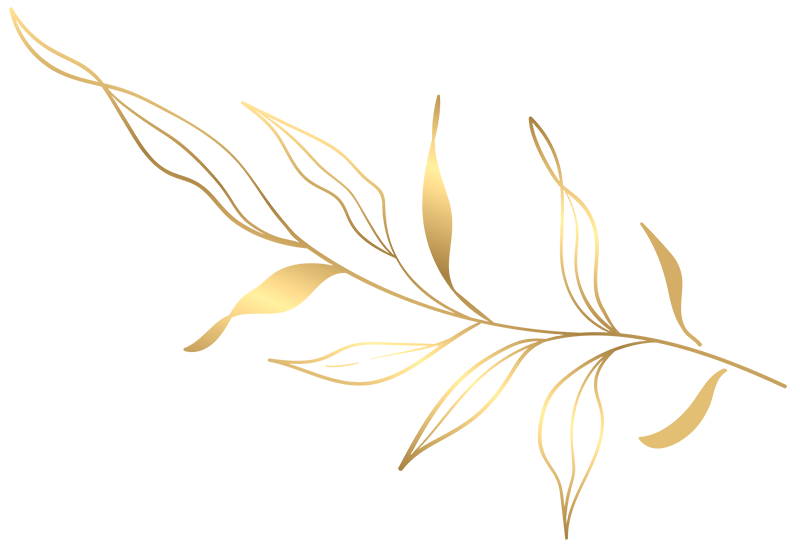 Idol Nails & Spa gallery