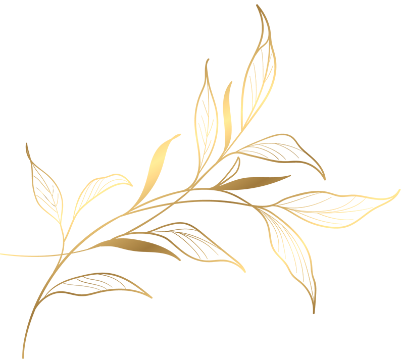 Idol Nails & Spa gallery